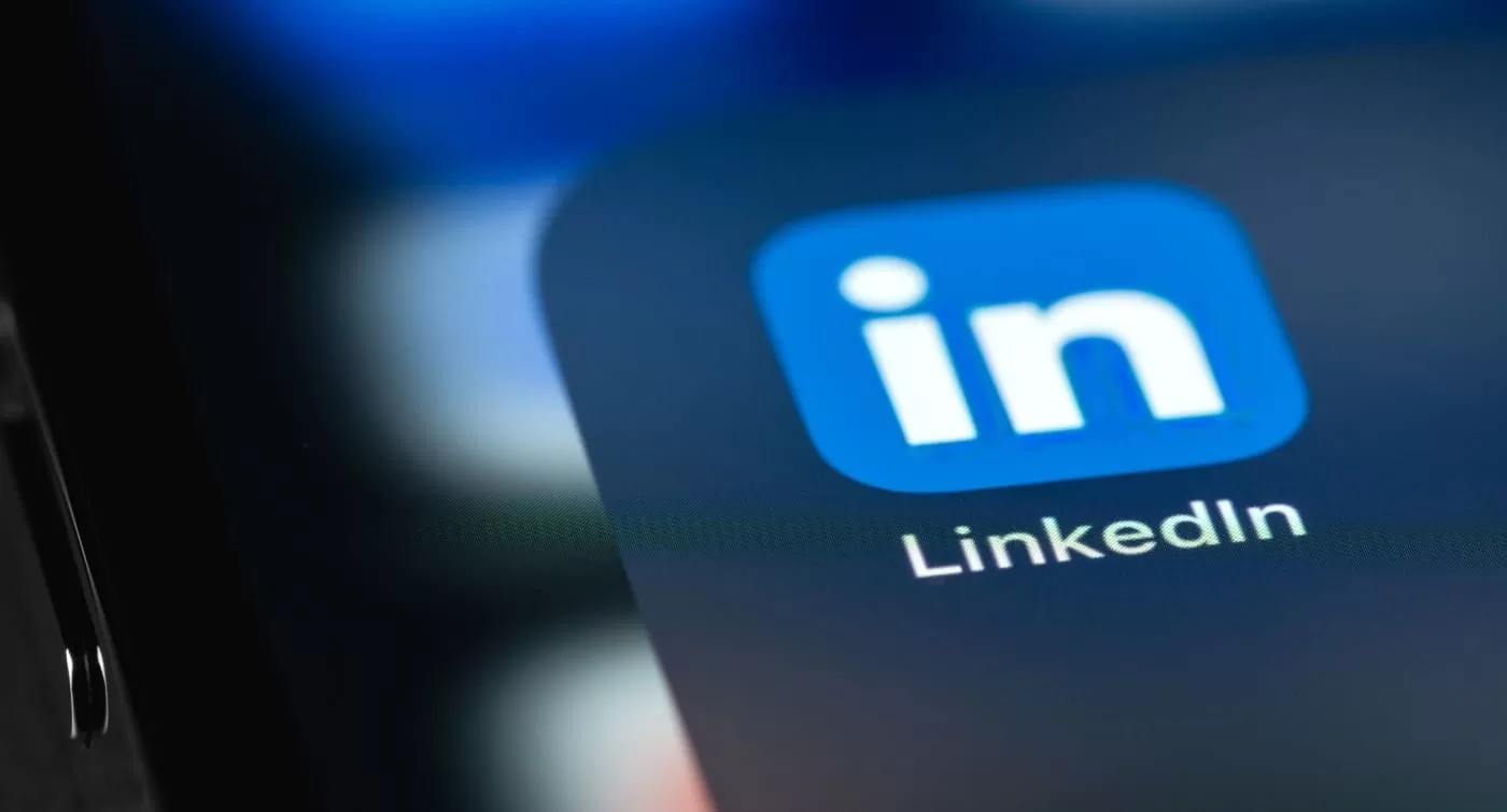 linkedin Camargue Glaçons